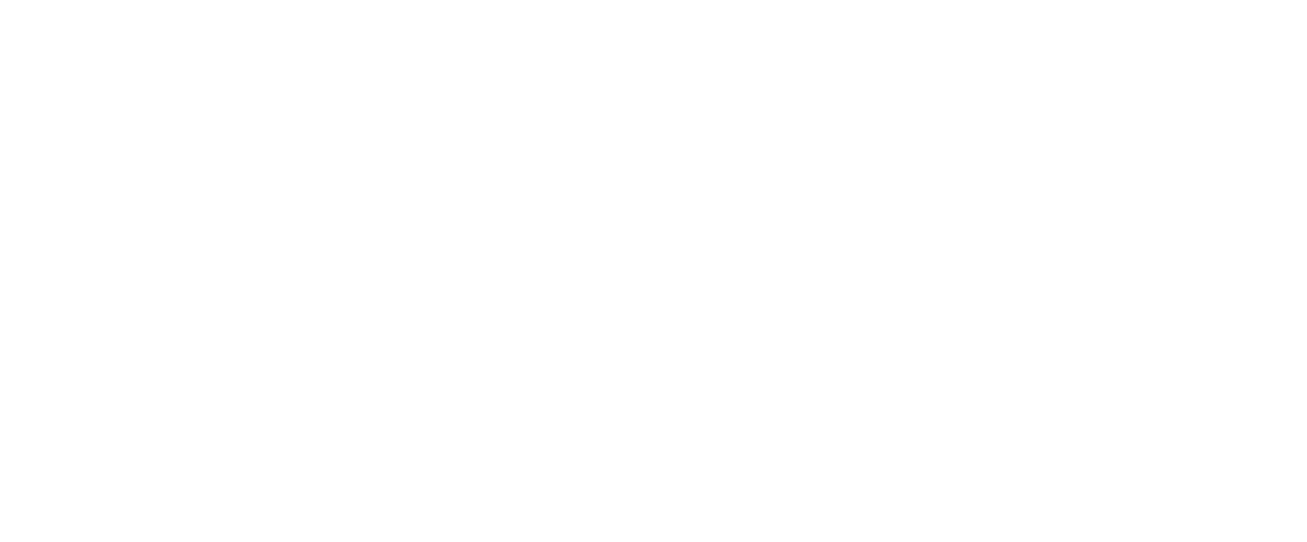 CS2 Logo