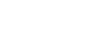 vein-logo-transparent